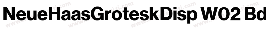 NeueHaasGroteskDisp W02 Bd字体转换